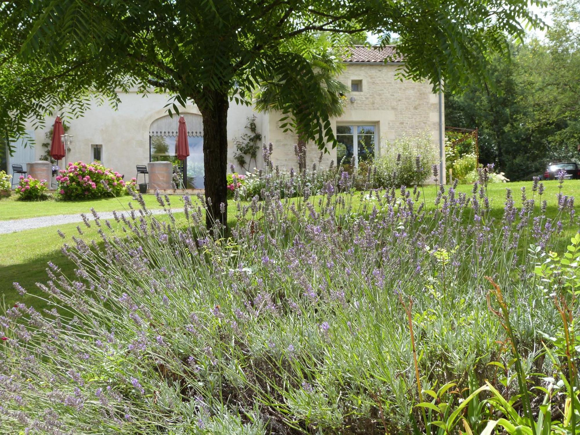 Le Logis De La Brumanderie - Saintes Fontcouverte  Exterior foto